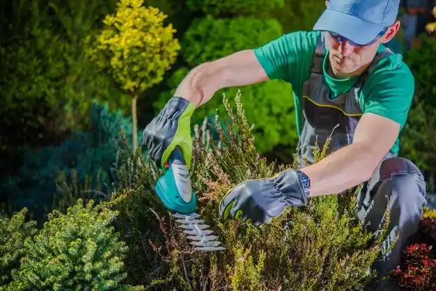 landscaping services Edison